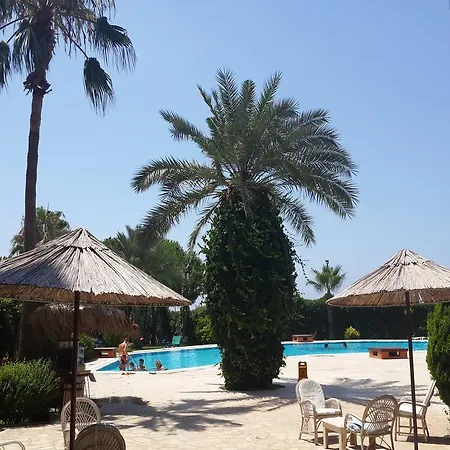 Club Turtas 4*